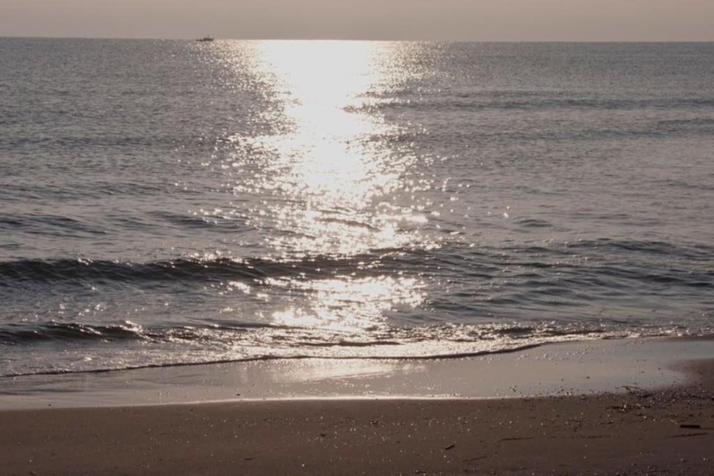 Beachfront House, Valencia, Wifi, Paddle Surf Board, Incredible Views ซูเอกา ภายนอก รูปภาพ
